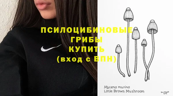экстази Алексеевка